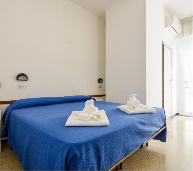 Arena Nuova Gestione