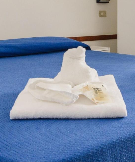 Arena Nuova Gestione Hotel Cattolica