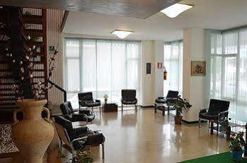Arena Nuova Gestione