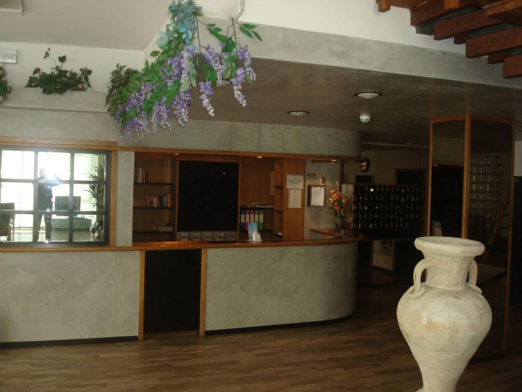 Arena Con Piscina Cattolica